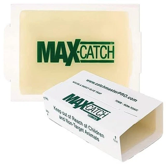 Max Catch 72 Pack Professional Strength - Mouse, Rat & 72 Pack, Green/Yellow