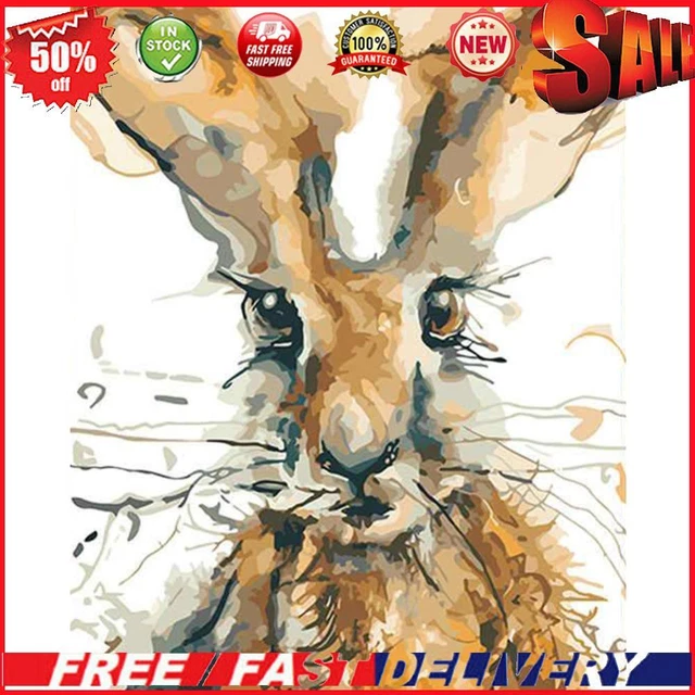 Painting By Numbers Kit DIY Rabbit Canvas Oil Art Picture for Home Room Decor