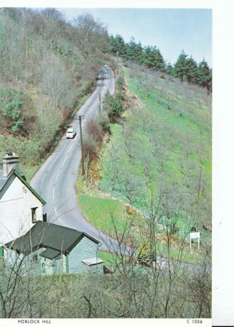 Somerset Postcard - Porlock Hill - Showing House    SM464