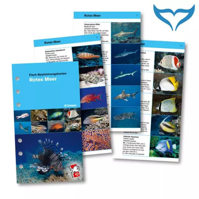 iQ Logbuch M Fish Card Fisch Bestimmungskarten Red Sea Rotes Meer DE Logbook Ne