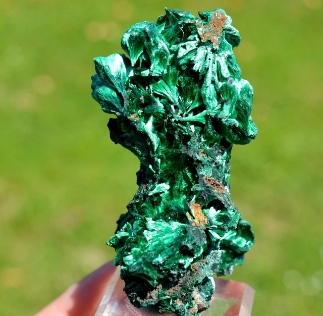 Malachit 117 Gramm - DER STERN Des Kongo Mine, Lubumbashi, Dr Kongo