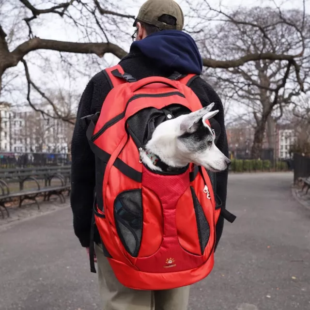 Large Pet Backpack Dog Backpack Most Dog Sizes Travel & Hiking Pet Carrier Red