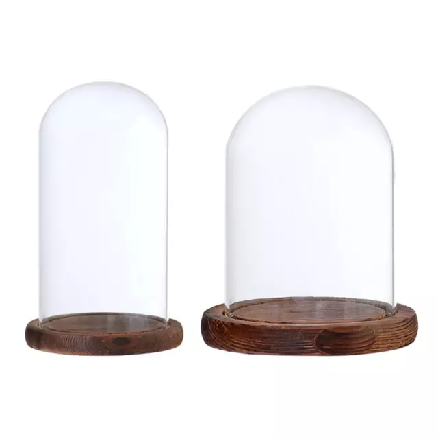 2 Stück staubdichtes Glas Cloche Dome Vase Terrarium für Office Display Decor