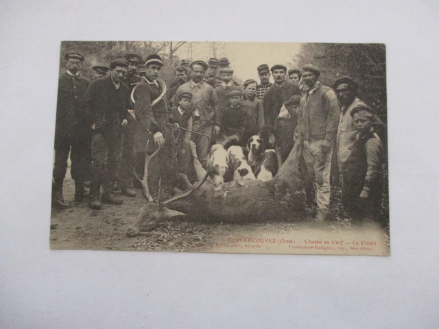 Cpa Orne 61 Foret D'ecouves Chasse Au Cerf La Curee