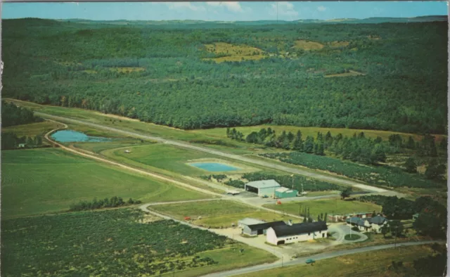 MR ALE 1973 Hammondsport NY Taylor-Van Gelder Airport Aerial View Postcard B2386