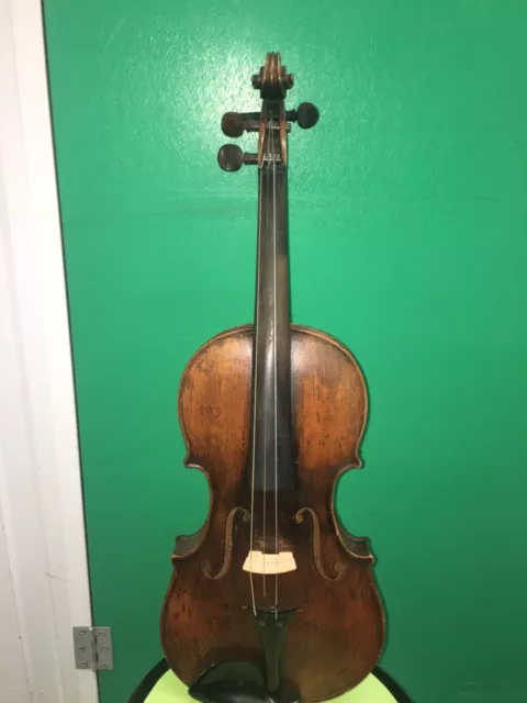 Violin