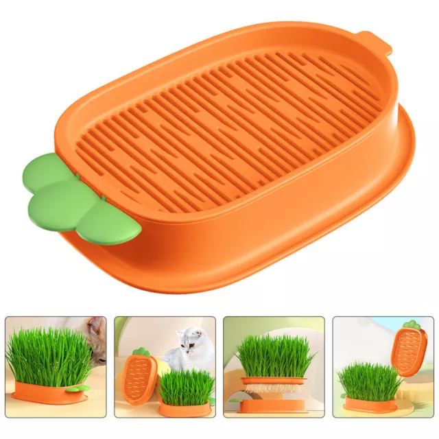 Cat Grass Growing Kit - Hydroponic Planter Tray for Indoor Plants-ET