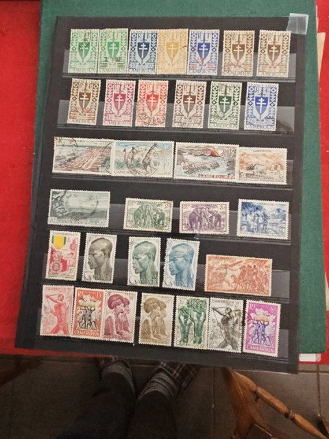 Timbre collection Cameroun N° Yvert et Tellier 132 Neuf avec charnière - La Maison du Collectionneur Timbre collection Cameroun N° Yvert et Tellier 132 Neuf avec charnière - La Maison du Collectionneur