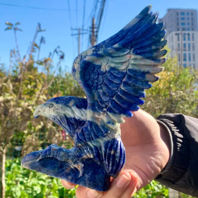 1.75LB Natural sodalite quartz hand carved crystal eagle gem reiki healing