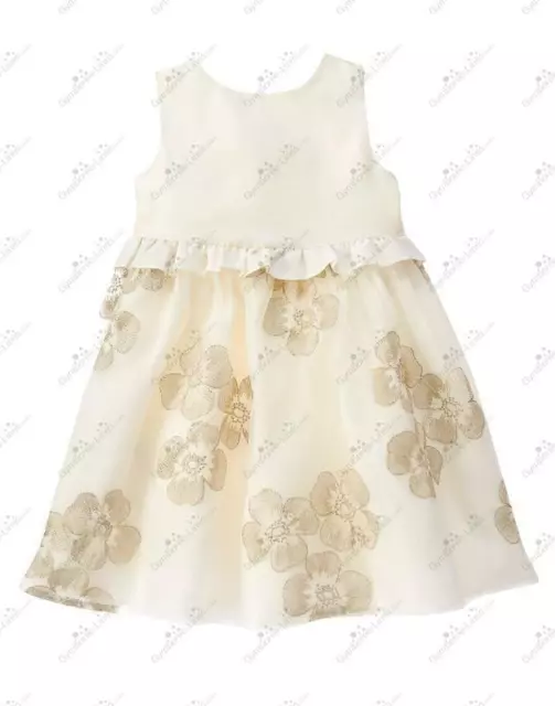 NWT Gymboree Savanna Party Floral Embroidered Dress Size 3T 4T 5T TODDLER GIRLS