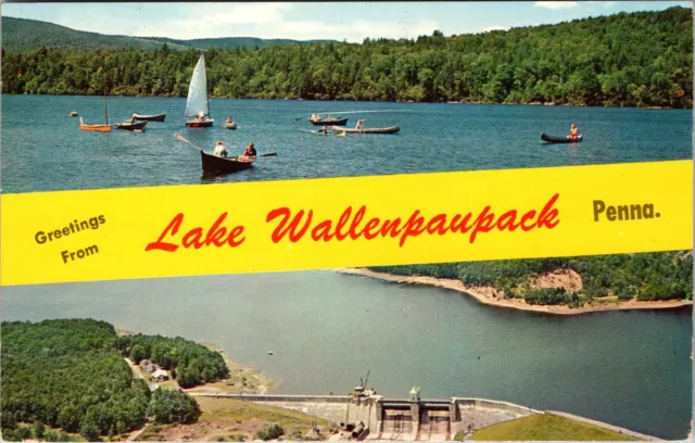 Greetings from Lake Wallenpaupack PA Cove Haven Resort Chrome Postcard B390