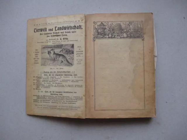 " Zucht, Haltung, Wartung und Pflege des Schweines " von Junghanns/Schmid,1907 2