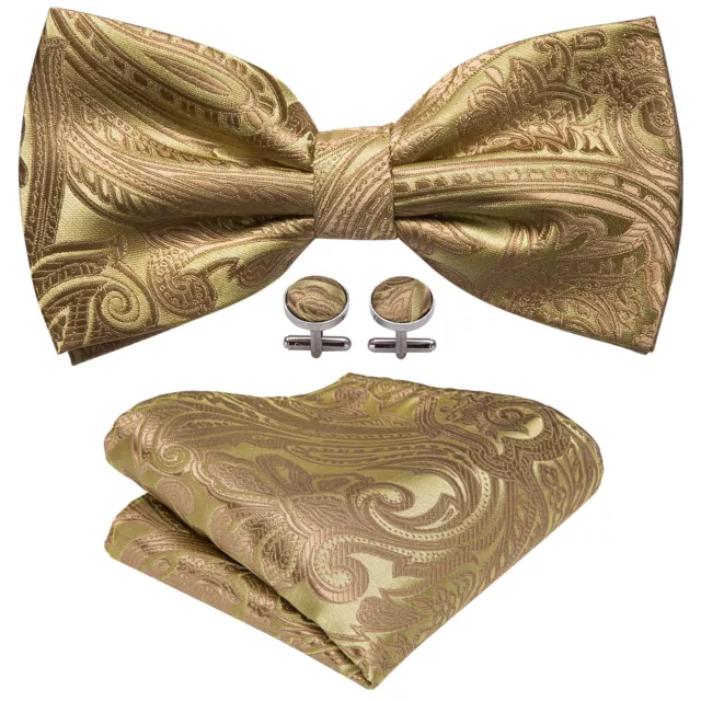 Barry Wang Mens Bowtie Silk Gold Floral Paisley Luxury Pretied Bow Tie Set Gift