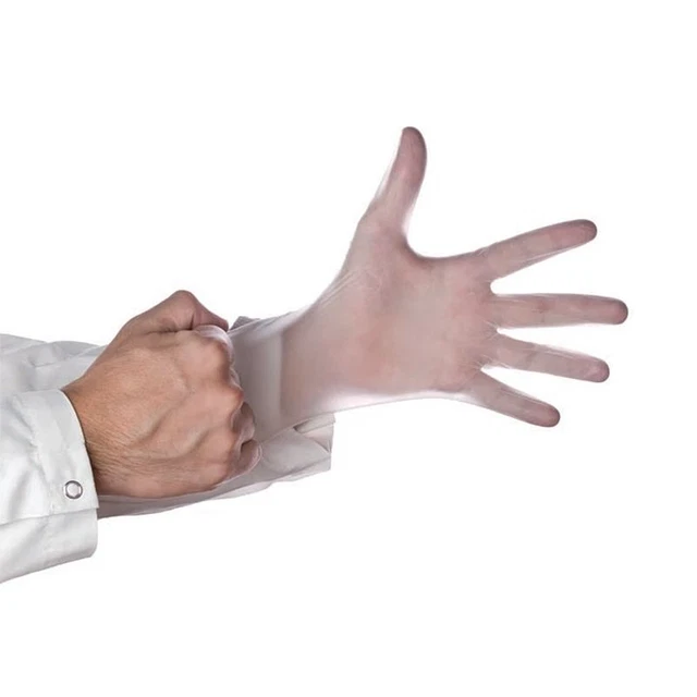 Darling Food Service Large Powder Free Vinyl Gloves - 1000 / CS