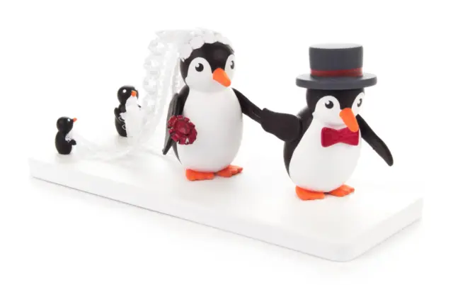 Pinguinhochzeit Erzgebirge