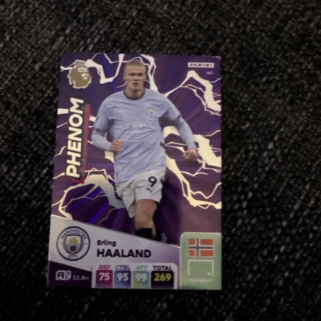 PANINI ADRENALYN XL Premier League 2025 20242025 24/25 Foil Cards 462