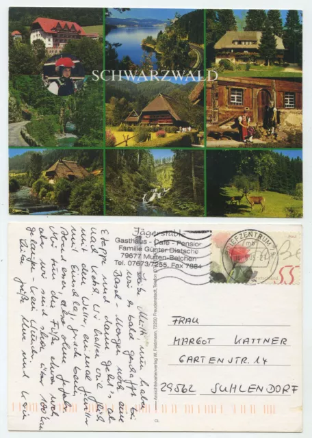 84011 - Black Forest - Postcard, Run