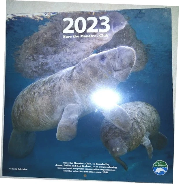 SAVE THE MANATEE Club 2023 Manatee Calendar 12 x 12" Photos New