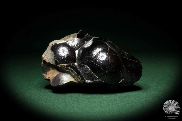 Hämatit Marokko Stufe Mineral Sammlung Kristall Deko deco