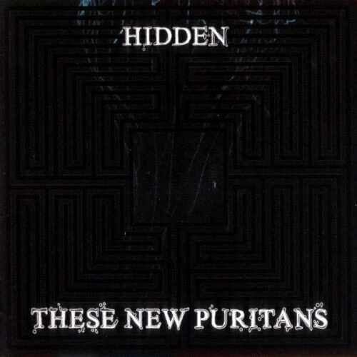 These New Puritans - Hidden - Used CD Album