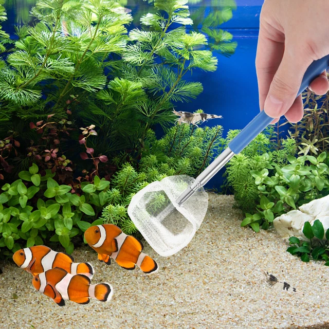 2Pcs Aquarium Fischernetz Garnelen Skimming Net Aquarium Zubehör 3