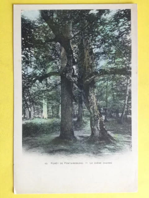 cpa FRANCE 77 - FOREST Seine et Marne Le CHARMÉ OAK TREE TREE