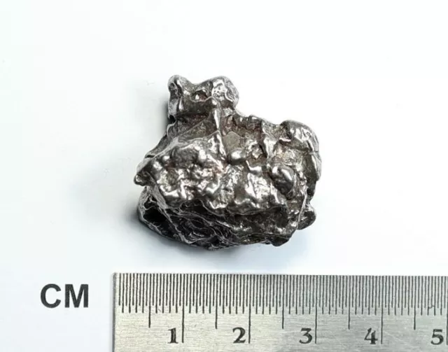 Meteorit Campo del Cielo 36,0 g /  Meteorite / Asteroid / Sternschnuppe