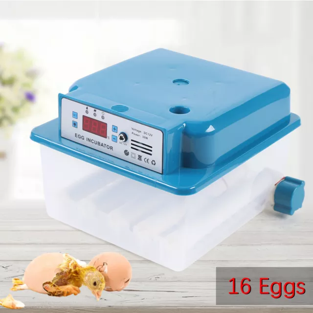 Automatic Bird Egg Incubator Hatcher Temperature Control Turning 16 Eggs
