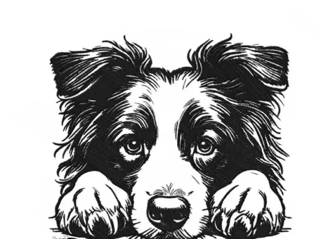 Border Collie Puppy Dog Breed Bathroom White Hand Towels Embroidered