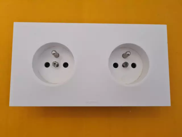 Prise Legrand Neptune 2P (2 Pôles) - Très Ancienne - À L'unité