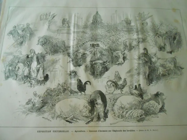 Gravure 1878 - Expo universelle Concours d'animaux sur l'esplanade des Invalides