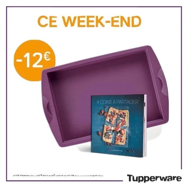 2 Moules Silicone Tupperware Rectangulaires – Avec Livre – Neufs