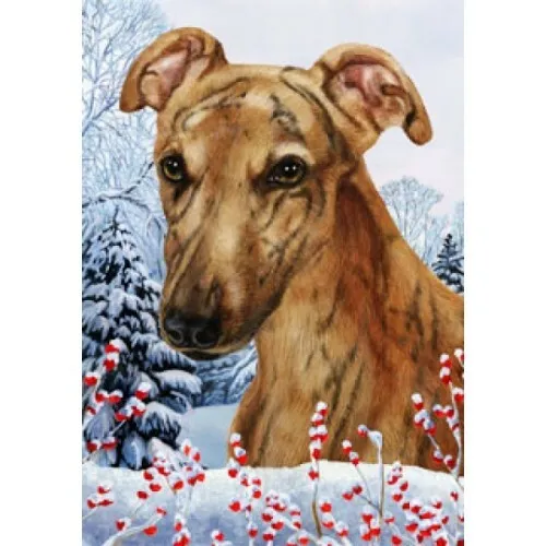 Winter House Flag - Red Brindle Greyhound 15219