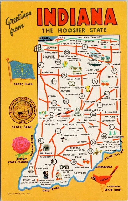 Indiana Map The Hoosier State Large Letter Cardinal Peony Flower Postcard G72