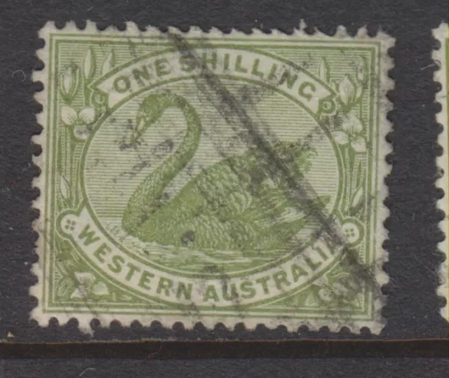 1898 - 1907 - Western Australia - 1/- Olive Green Swan - P.14 -Fu - Sg116- W561