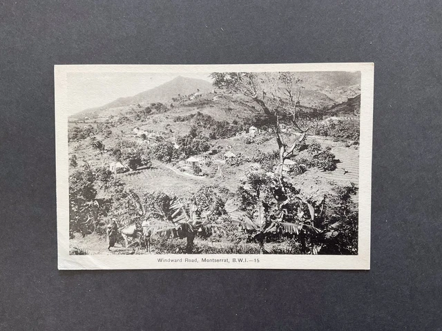 Postal History - Montserrat Unused Picture Postcard Of Windward Road .