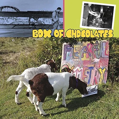 Boîte De Chocolats - Craintif 'Symmetry' - LP Vinyle - DC748 - Neuf