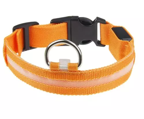 LED Light up Dog Collar Pet Night Safety Bright Flashing Adjustable Nylon Leash 3