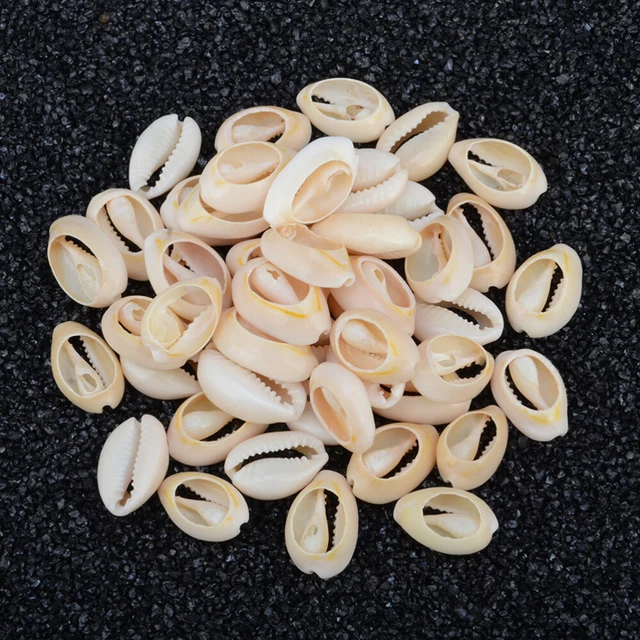 50 Pcs Reize Anhänger Zur Schmuckherstellung Muschelschale Gehäuse