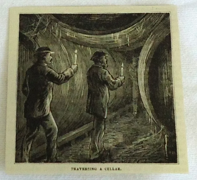 small 1882 magazine engraving ~ TRAVERSING A BEER CELLAR, New York