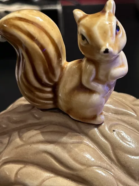 Super Cool Vintage Squirrel Sitting on A Giant Walnut Lidded Jar Candy Dish 2