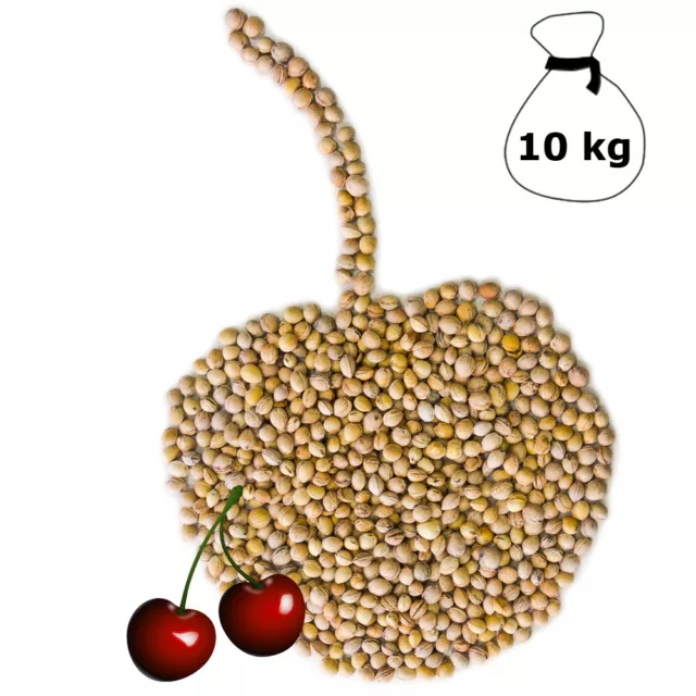 (2,75€/1kg) Kirschkerne lose 10 kg Wärmekissen Kirschkernkissen Kissen Kerne Kir