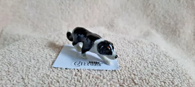 LITTLE CRITTERZ Dog Border Collie "Hemp" Miniature Figurine New FREE SHIP LC816