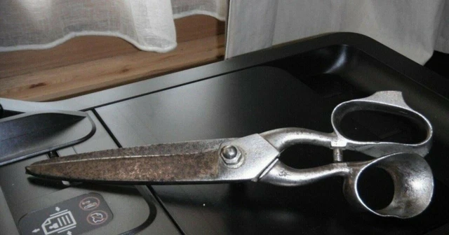 Magnifique ancienne paire de ciseaux de tailleur de 29 cm