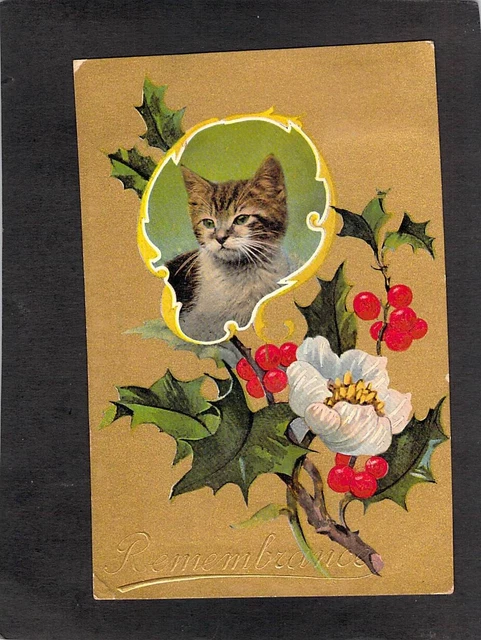 B9038 Greetings Cat Holly Remembrance PU1907 NSW to SA Valentines vintage postca