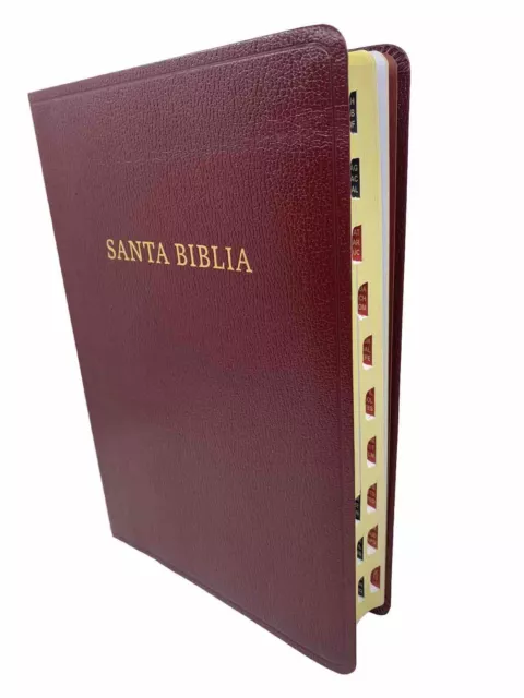 Biblia Rvr 1960 Letra Gigante, 14 Points Borgoña, Imitation Piel Avec Índice