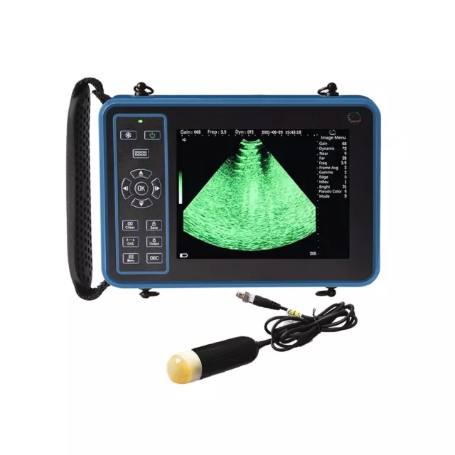 Animals Veterinary B Ultrasound Scanner Machine Rectal Linear Probe for Dog Cat