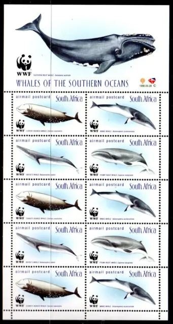 South Africa 1998 Whales Of The Southern Ocean - Wwf - Mnh - Uk Post Free