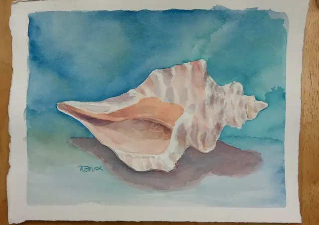 "Conch 1" Original Watercolor Painting RAMfish Artist Ocean Seashell Beach