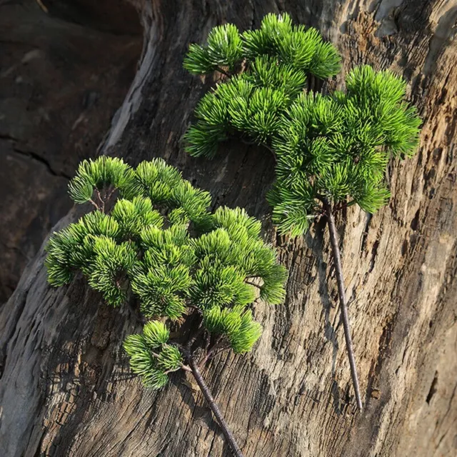 Fausse plante de pin réaliste parfaite pour la décoration de maison et de mari